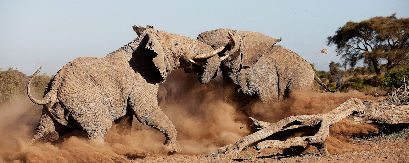 amboseli national park